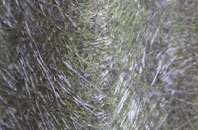 Eversley Cross fibreglass roof work